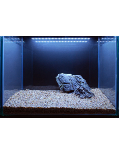 Tropica Lot Intermédiaire - Layout 106 (125L)