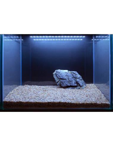 Tropica Lot Intermédiaire - Layout 106 (125L)
