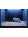 Tropica Lot Intermédiaire - Layout 106 (125L)