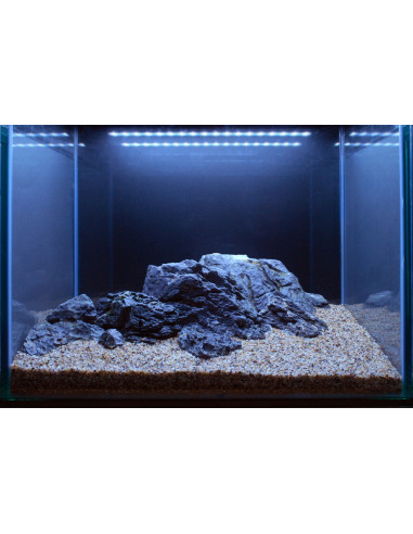 Tropica Lot Intermédiaire - Layout 106 (125L)