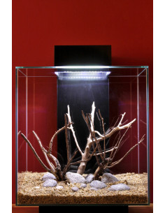 Tropica Lot Débutant - Layout 58 (46L)