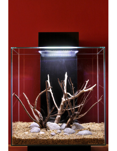 Tropica Lot Débutant - Layout 58 (46L)