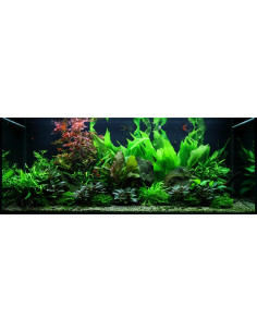 Tropica Lot Expert - Layout 48 (300L)