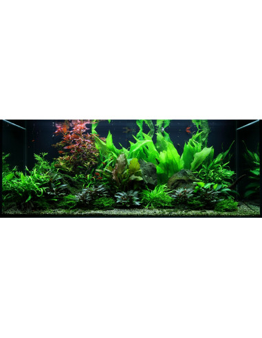 Tropica Lot Expert - Layout 48 (300L)