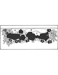 Tropica Lot Expert - Layout 48 (300L)