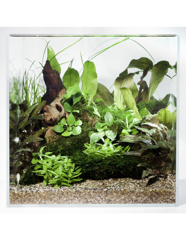 Tropica Lot Intermédiaire - Layout 43 Set