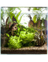 Tropica Lot Intermédiaire - Layout 43 Set