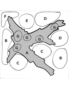 Tropica Lot Intermédiaire - Layout 43 Set