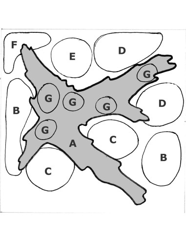 Tropica Lot Intermédiaire - Layout 43 Set