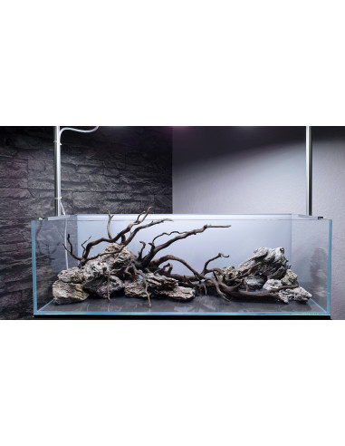Tropica Lot Intermédiaire - Layout 120 (70L)