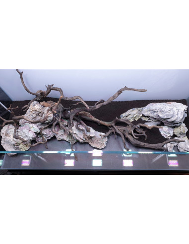 Tropica Lot Intermédiaire - Layout 120 (70L)