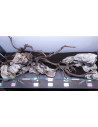 Tropica Lot Intermédiaire - Layout 120 (70L)