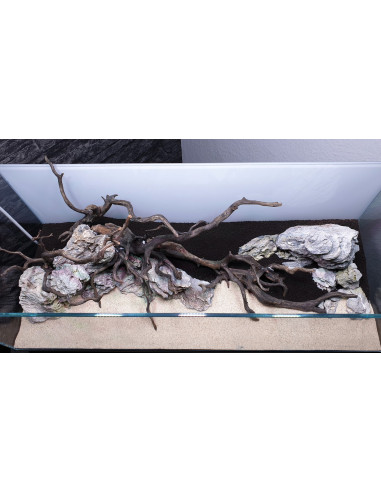 Tropica Lot Intermédiaire - Layout 120 (70L)