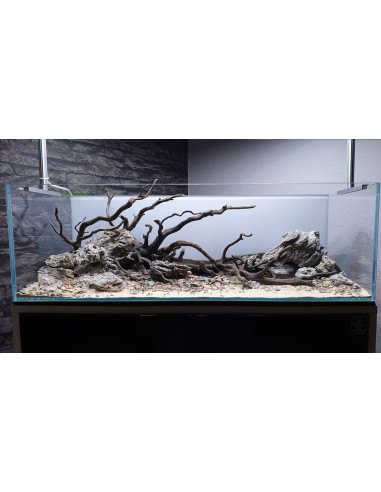 Tropica Lot Intermédiaire - Layout 120 (70L)