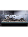 Tropica Lot Intermédiaire - Layout 120 (70L)