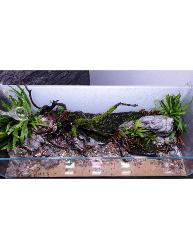 Tropica Lot Intermédiaire - Layout 120 (70L)