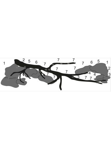 Tropica Lot Intermédiaire - Layout 120 (70L)