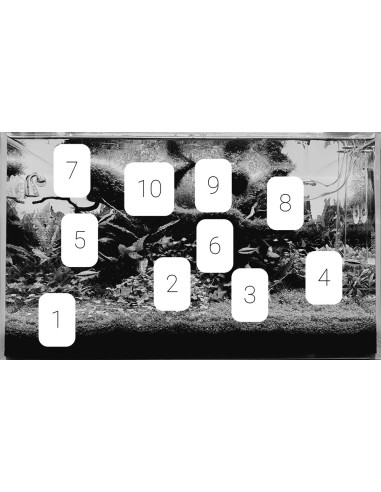 Tropica Lot Intermédiaire - Layout 122 (110L)