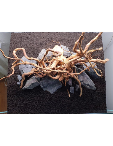 Tropica Lot Intermédiaire - Layout 122 (110L)