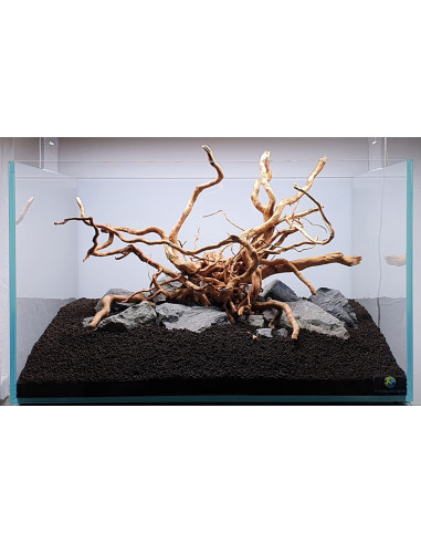 Tropica Lot Intermédiaire - Layout 122 (110L)