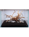 Tropica Lot Intermédiaire - Layout 122 (110L)