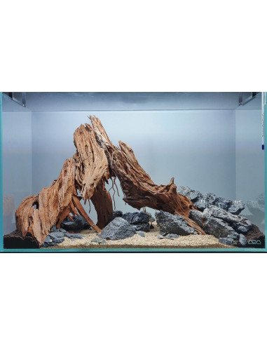 Tropica Lot Débutant - Layout 124 (54L)