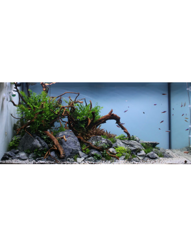 Tropica Lot Expert - Layout 1454 (350L)