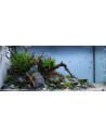 Tropica Lot Expert - Layout 1454 (350L)