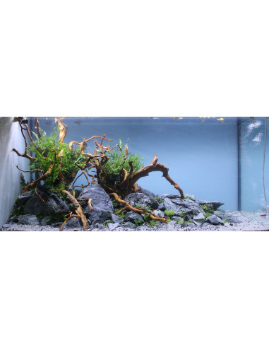 Tropica Lot Expert - Layout 1454 (350L)