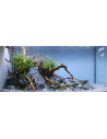 Tropica Lot Expert - Layout 1454 (350L)