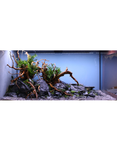 Tropica Lot Expert - Layout 1454 (350L)