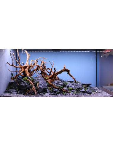 Tropica Lot Expert - Layout 1454 (350L)