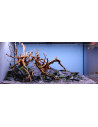 Tropica Lot Expert - Layout 1454 (350L)