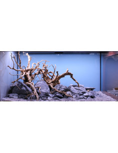 Tropica Lot Expert - Layout 1454 (350L)