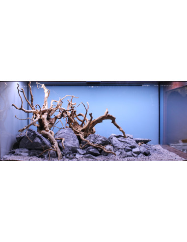 Tropica Lot Expert - Layout 1454 (350L)