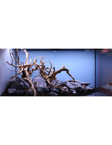 Tropica Lot Expert - Layout 1454 (350L)