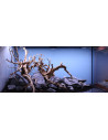 Tropica Lot Expert - Layout 1454 (350L)