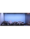 Tropica Lot Expert - Layout 1454 (350L)