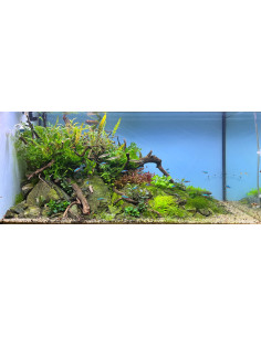 Tropica Lot Expert - Layout 1454 (350L)