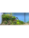 Tropica Lot Expert - Layout 1454 (350L)