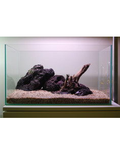 Tropica Lot Débutant - Layout 104 (28L)