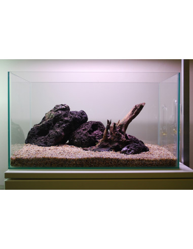 Tropica Lot Débutant - Layout 104 (28L)