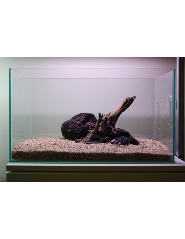 Tropica Lot Débutant - Layout 104 (28L)