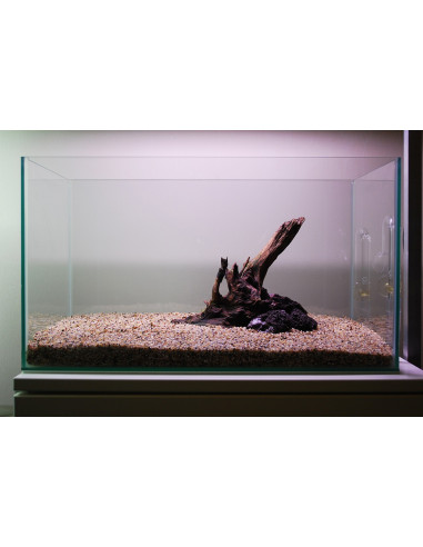 Tropica Lot Débutant - Layout 104 (28L)