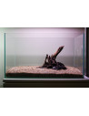 Tropica Lot Débutant - Layout 104 (28L)