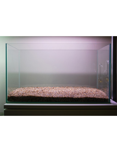 Tropica Set Layout 104 (28L)