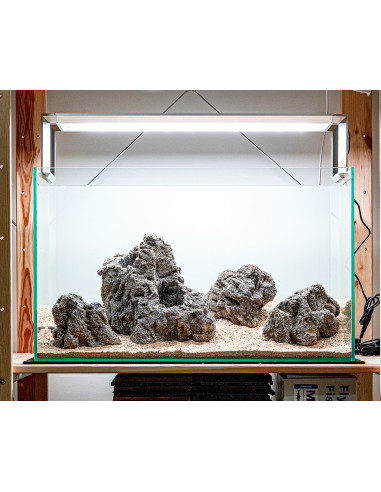 Tropica Lot Débutant - Breezy (64L)