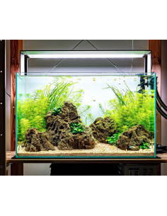 Tropica Lot Débutant - Breezy (64L)