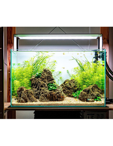 Tropica Lot Débutant - Breezy (64L)
