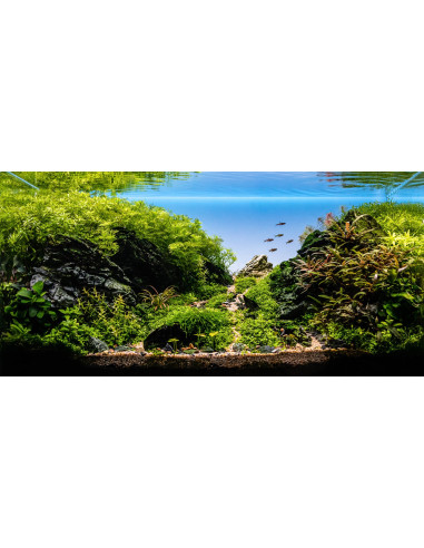 Tropica Lot Expert - L126 Grober Rettenstein (50L)
